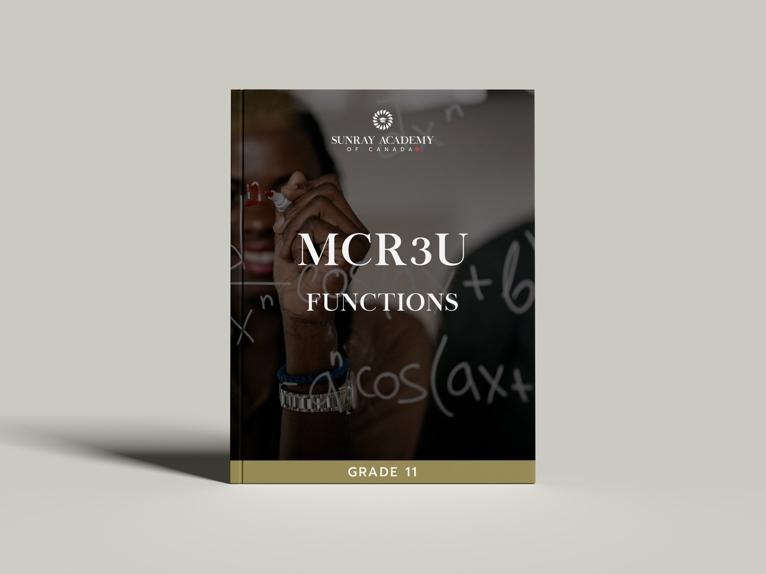 FunctionsGrade11